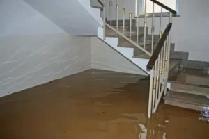 Water Damage Restoration How To Remove Odors After Water Damage